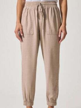 Splendid lakeside joggers